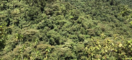 Talamanca Range-La Amistad Reserves