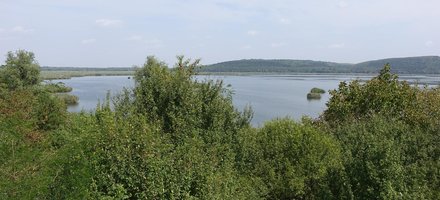 Srebarna Nature Reserve