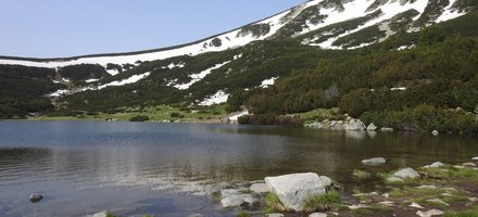 Pirin National Park
