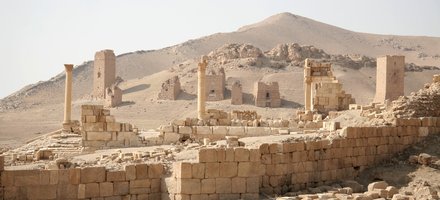 Palmyra