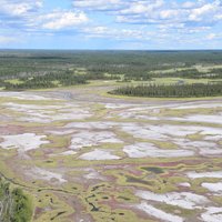 Wood Buffalo National Park