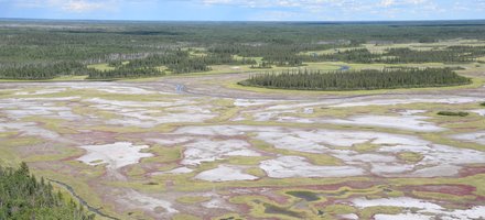 Wood Buffalo National Park