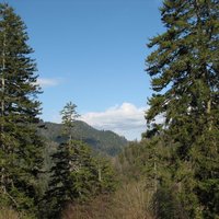 Great Smoky Mountains by Els Slots