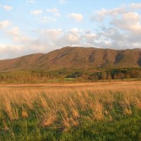 Great Smoky Mountains