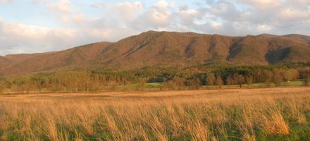 Great Smoky Mountains