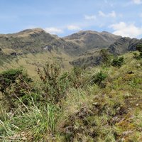 Sangay National Park