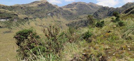 Sangay National Park