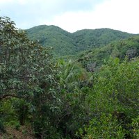 Vallée de Mai