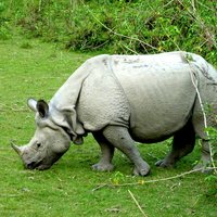 Chitwan National Park