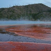 Yellowstone