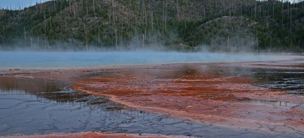 Yellowstone
