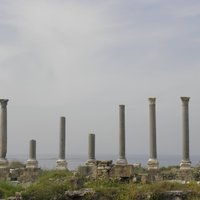 Tyre
