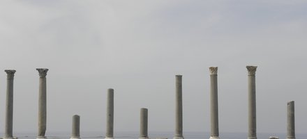 Tyre