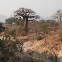 Mana Pools Chitake Springs by Els
