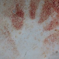 Altamira Cave by Els Slots