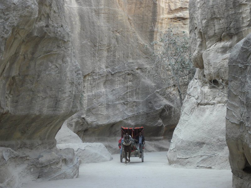 Petra by Els Slots