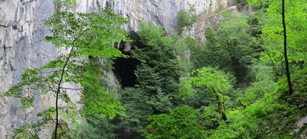 Skocjan Caves