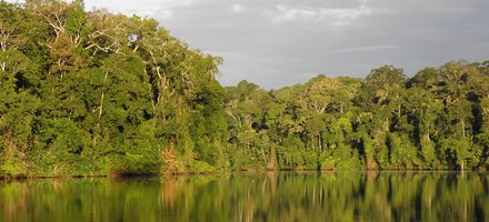 Manu National Park