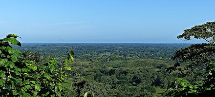 Palenque