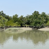Sundarbans National Park