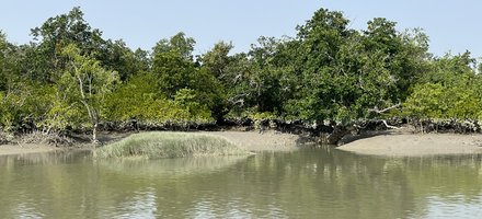 Sundarbans National Park