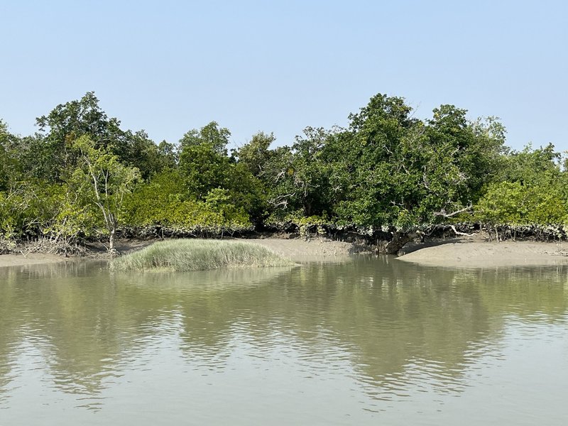 Sundarbans National Park by Els Slots