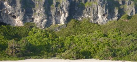 Henderson Island