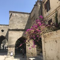 Rhodes