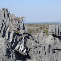 Tsingy de Bemaraha by Els Slots