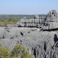 Andrefana Dry Forests