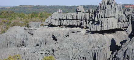 Andrefana Dry Forests