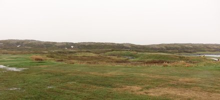 L'Anse aux Meadows