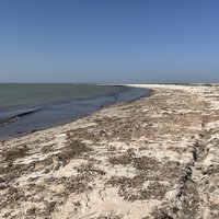 Banc d'Arguin by Els Slots