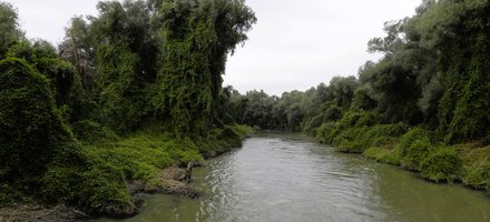 Danube Delta