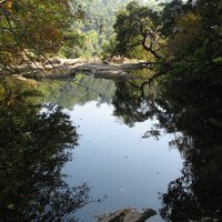 Dong Phayayen - Khao Yai