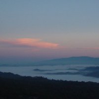 Photo by Masayuki Hirabayashi