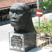 Sangiran Early Man Site by Els Slots