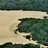 Fraser Island