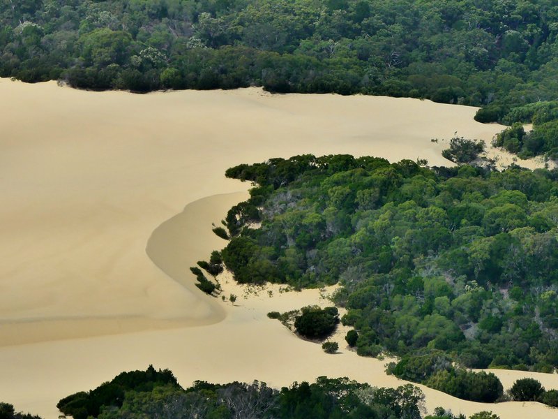Fraser Island by Carlo Sarion