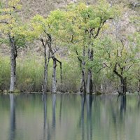 Jiuzhaigou Valley by Els Slots