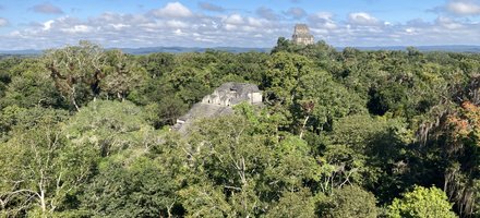 Tikal National Park