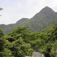 Yakushima by Els Slots