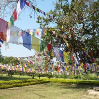 Lumbini by Clyde