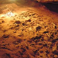 Australian Fossil Mammal Sites