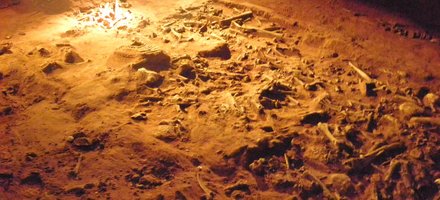 Australian Fossil Mammal Sites