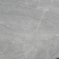 Nasca Lines by Els Slots