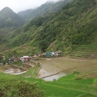 Rice Terraces of the Philippine Cordilleras by Els Slots