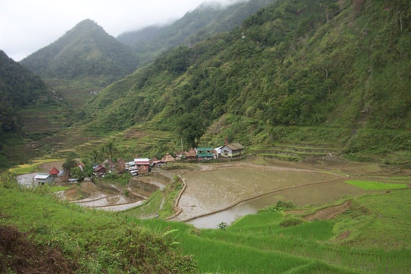 Rice Terraces of the Philippine Cordilleras by Els Slots
