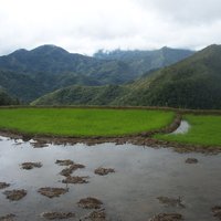 Rice Terraces of the Philippine Cordilleras