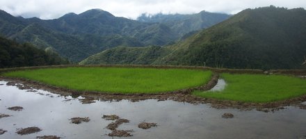 Rice Terraces of the Philippine Cordilleras